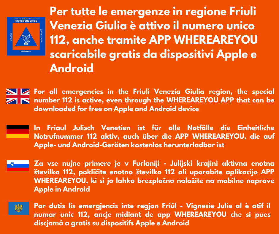 imfografica multilingue