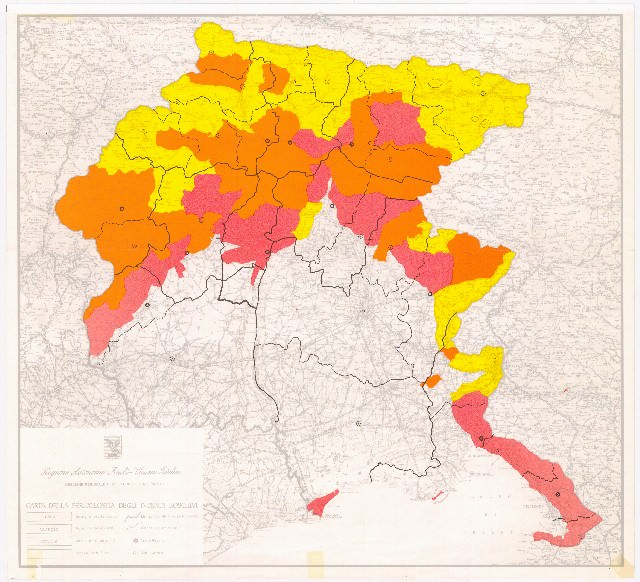 Carta della pericolosità degli incendi boschivi