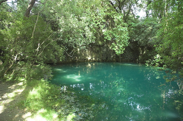 Le risorgive del Timavo