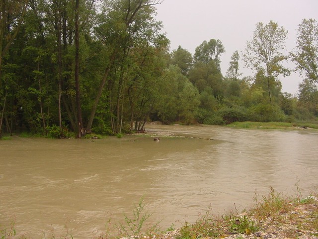 Fiumi di risorgiva - il Taglio in piena a Rivignano