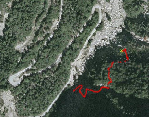 Tracciato di un percorso nel bosco (misure di codice post-processate)