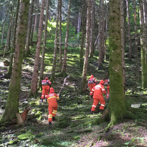 Corso formazione AIB Paluzza