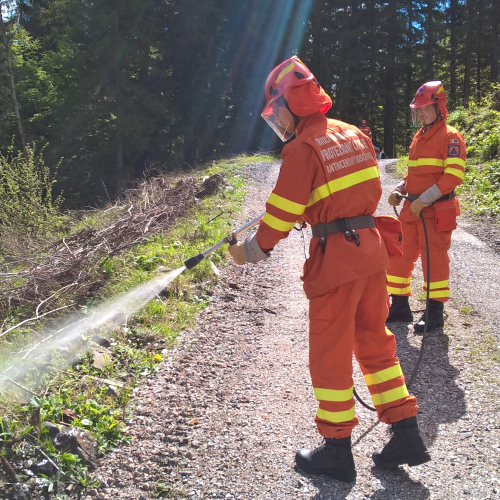 Corso di formazione AIB Paluzza