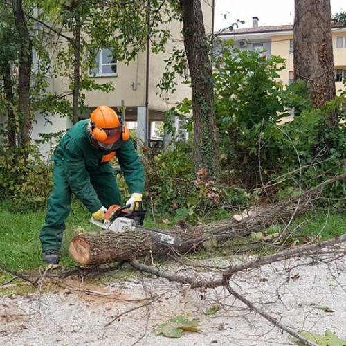 codroipo medio friuli esercitazione 