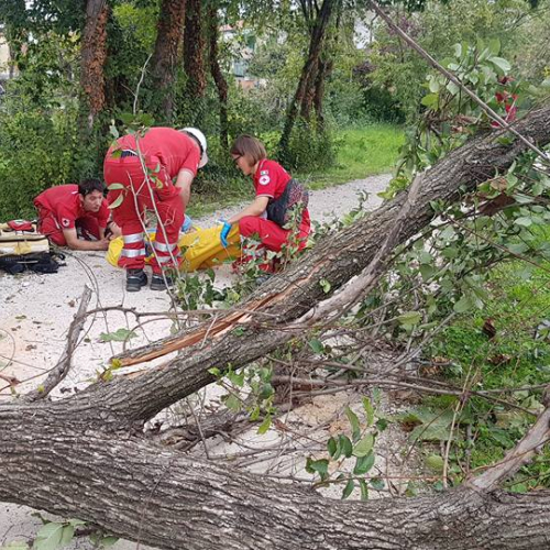 codroipo medio friuli esercitazione 