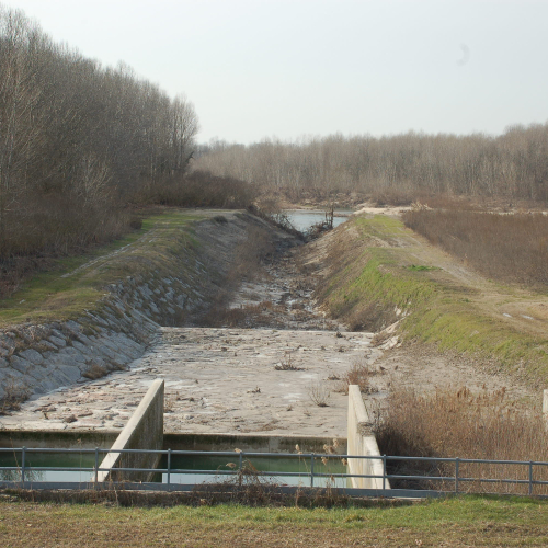 IDROVORA RONCHIS neiflex