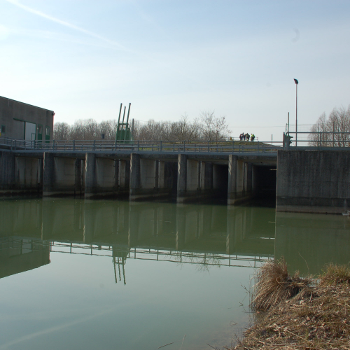 IDROVORA RONCHIS_2 neiflex