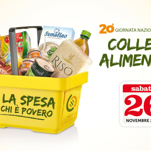 COLLETTA ALIMENTARE / 117452