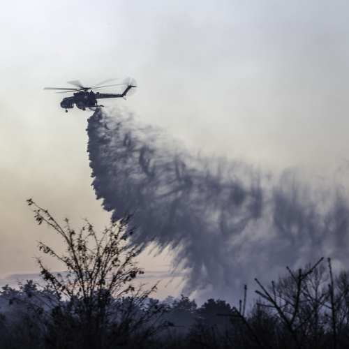 Incendio boschivo Monrupino n. a 4 / 77116