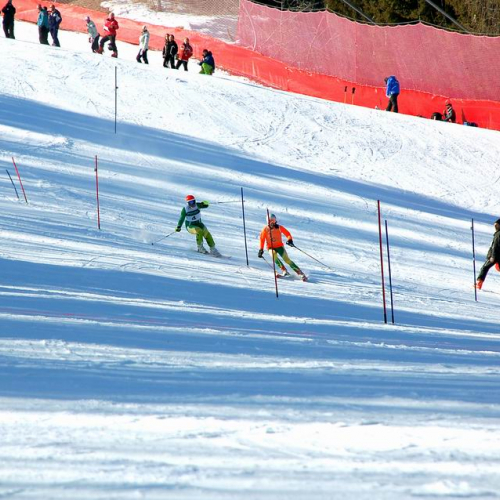 Foto gara Zoncolan n. 13 / 74826
