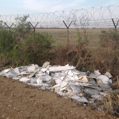 Netin i fosai 2012 n. 2 / 79750