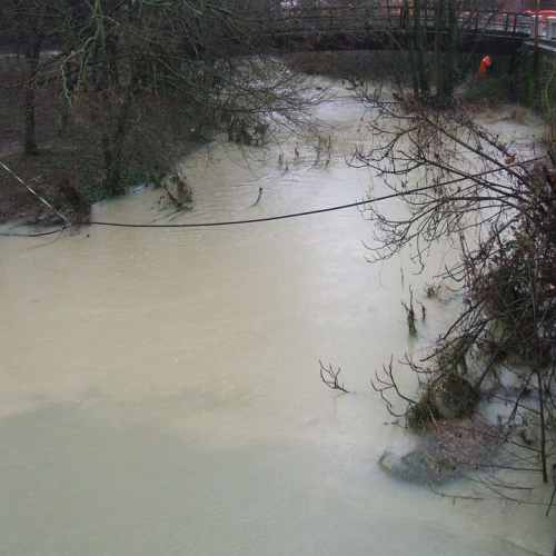 Attivit‡ di monitoraggio n. 1 / 103495