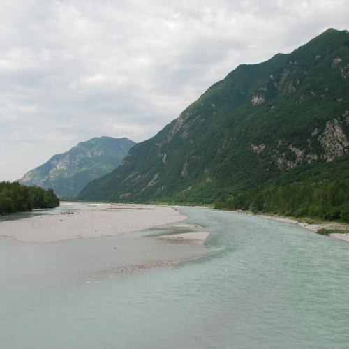 Se.Pi. Tagliamento 2008 - Venzone foto n. 4 / 25136