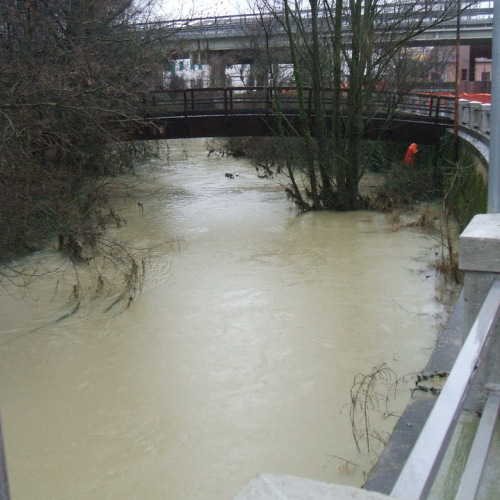 Attivit‡ di monitoraggio n. 2 / 103496