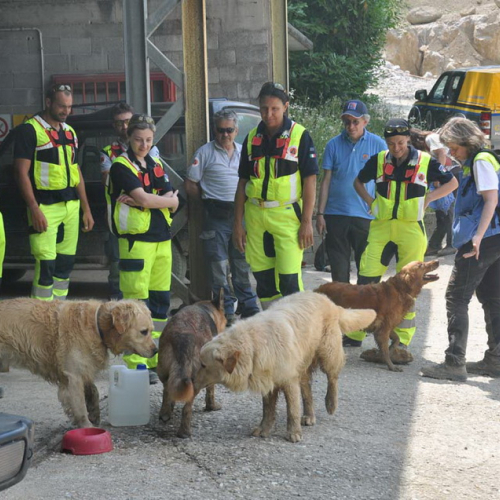 Visita volontari di Fermo n. 34 / 97300