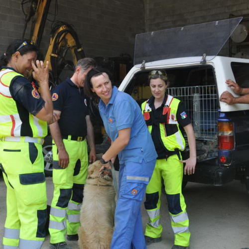 Visita volontari di Fermo n. 35 / 97301