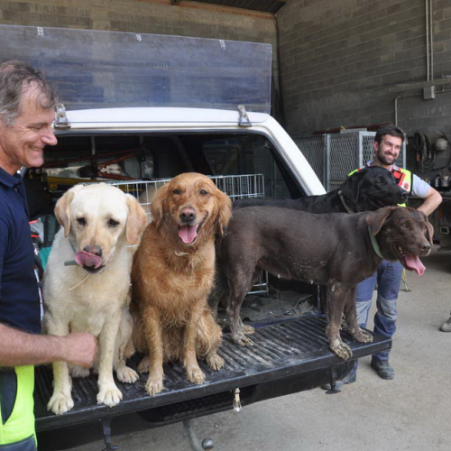 Visita volontari di Fermo n. 36 / 97302