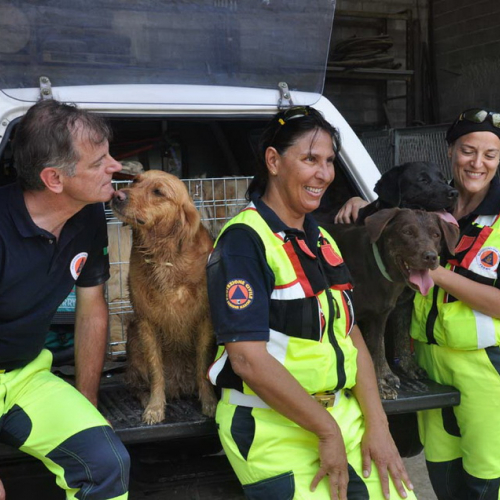Visita volontari di Fermo n. 37 / 97303