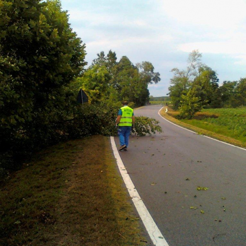 Interventi maltempo 23/07 n. 3 / 54680