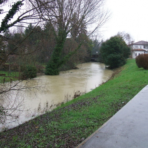 Attivit‡ di monitoraggio n. 3 / 103497