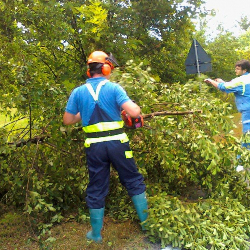 Interventi maltempo 23/07 n. 4 / 54681