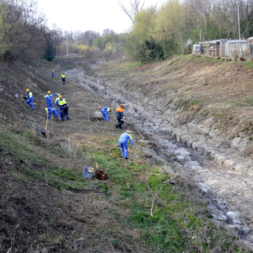 Intervento Torrente Cormor in localit‡ Basaldella n. 7 / 78521
