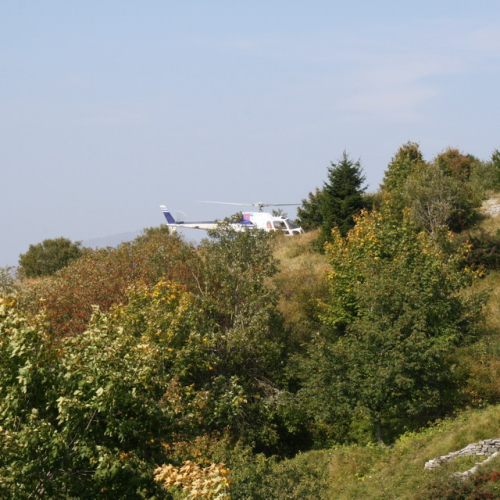 Esercitazione Kolovrat 2009 n. 52 / 43100
