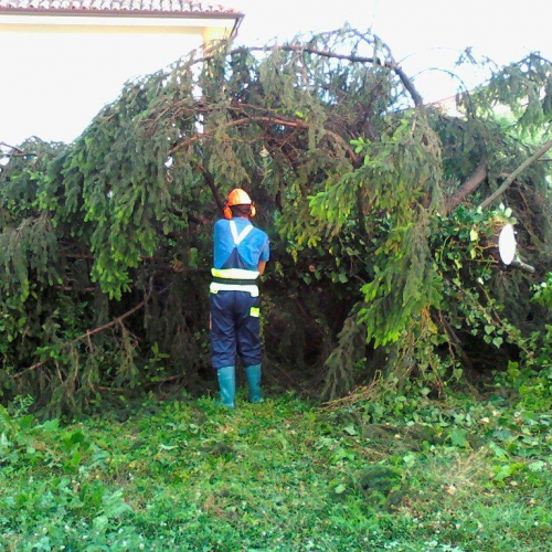 Interventi maltempo 23/07 n. 5 / 54682