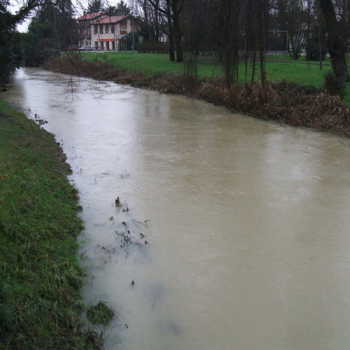 Attivit‡ di monitoraggio n. 5 / 103499