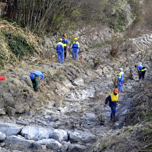 Intervento Torrente Cormor in localit‡ Basaldella n. 8 / 78522