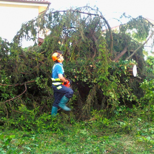 Interventi maltempo 23/07 n. 6 / 54683