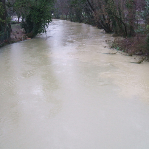 Attivit‡ di monitoraggio n. 6 / 103500