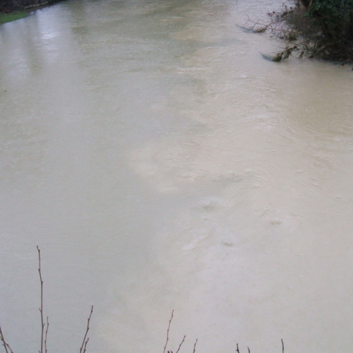 Attivit‡ di monitoraggio n. 7 / 103501