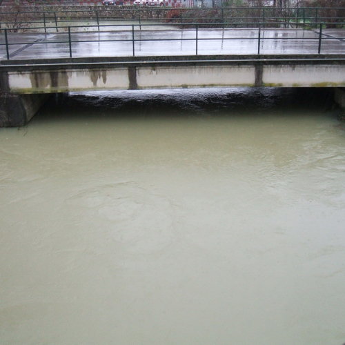 Attivit‡ di monitoraggio n. 8 / 103502