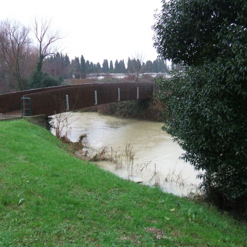 Attivit‡ di monitoraggio n. 9 / 103503