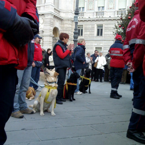 foto n. B 13 / 19446