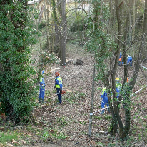 Intervento Ronchis n. 1 / 78896