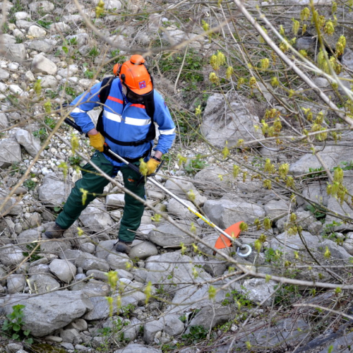 Intervento Torrente Cormor in localit‡ Basaldella n. 12 / 78526