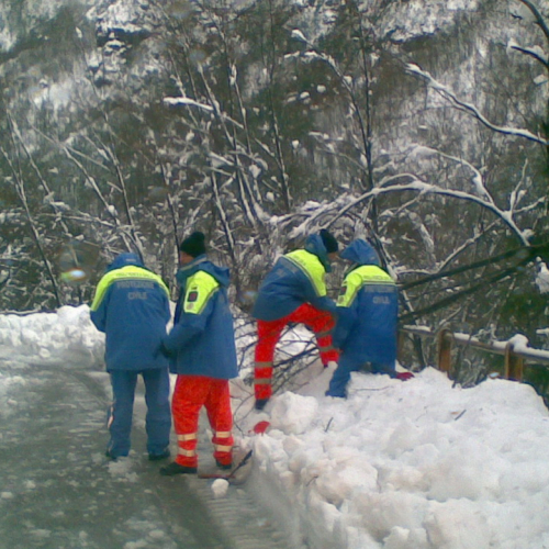 Emergenza neve a Chiusaforte n. 1 / 103431