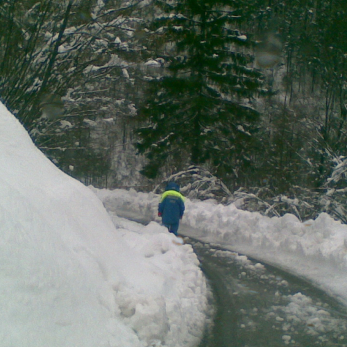 Emergenza neve a Chiusaforte n. 8 / 103438