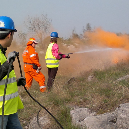 Campi scuola (01.04.14) n. 5 / 107334