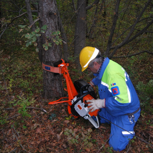 Esercitazione Monte San Simeone" n. 17""sercitazione "Monte San ""ercitazion" / 101050