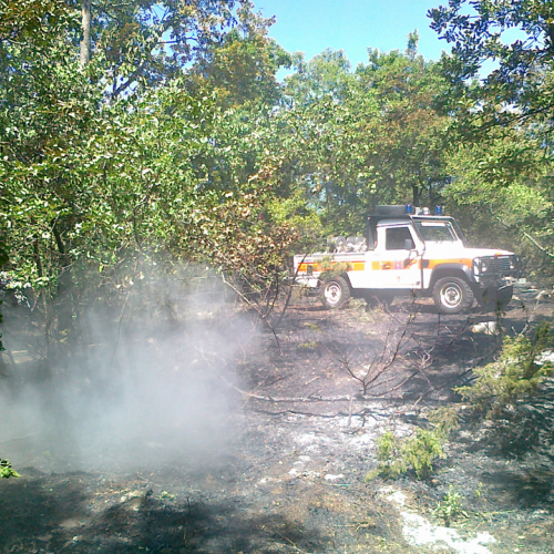 Incendio boschivo Trieste n. 15 / 84778