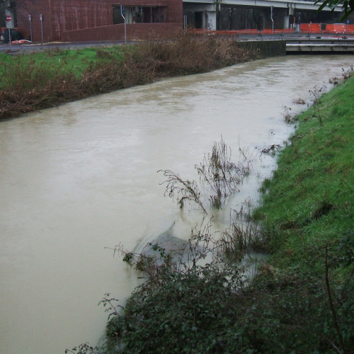 Attivit‡ di monitoraggio n. 10 / 103504