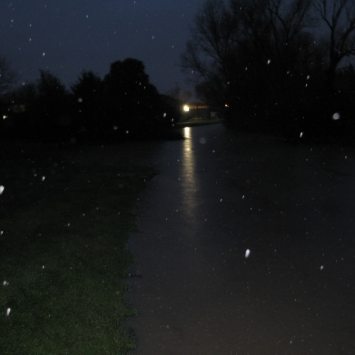 Attivit‡ di monitoraggio n. 11 / 103505