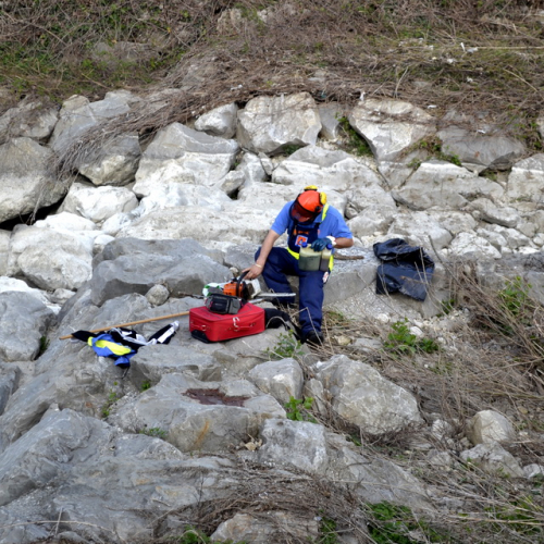 Intervento Torrente Cormor in localit‡ Basaldella n. 14 / 78528