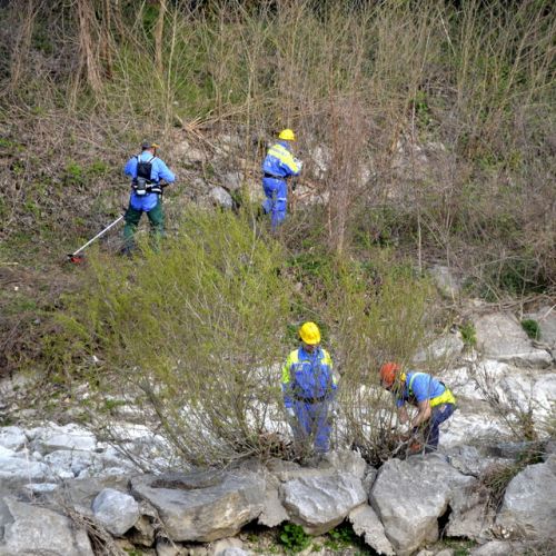 Intervento Torrente Cormor in localit‡ Basaldella n. 15 / 78529
