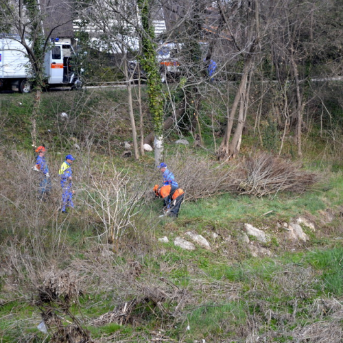 Intervento Torrente Cormor in localit‡ Basaldella n. 17 / 78531