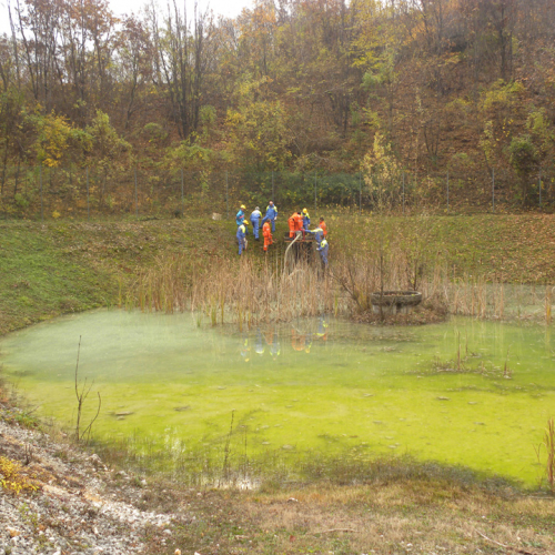 Esercitazione 28/12 n. 15 / 46436