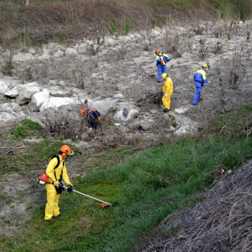 Intervento Torrente Cormor in localit‡ Basaldella n. 20 / 78534